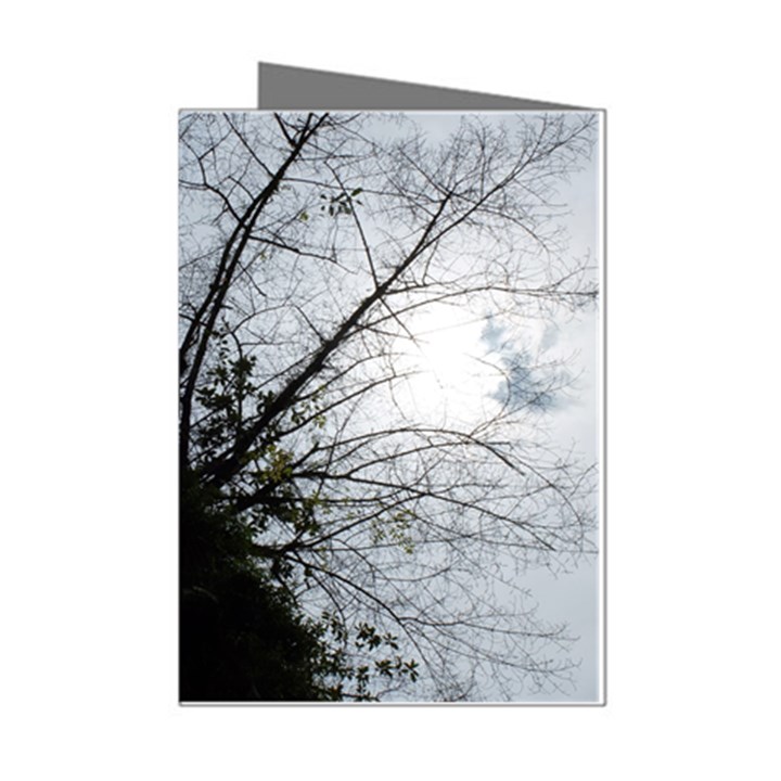 An Old Tree Mini Greeting Card (8 Pack)