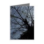 An Old Tree Mini Greeting Card (8 Pack) Right