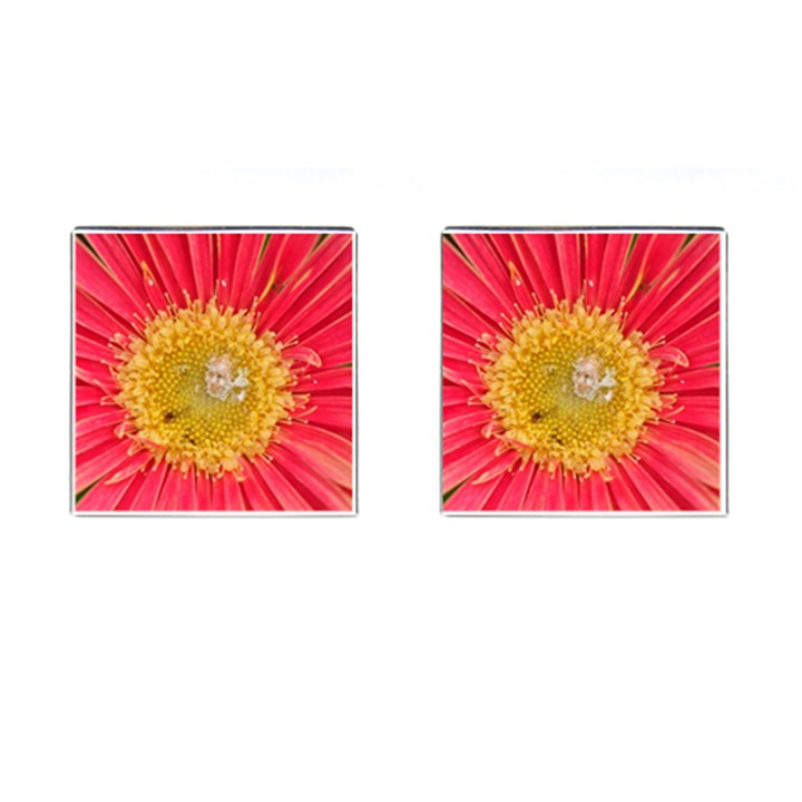 A Red Flower Cufflinks (Square)