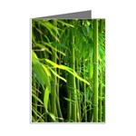 Bamboo Mini Greeting Card (8 Pack) Right