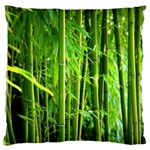 Bamboo Large Cushion Case (Two Sided)  Front