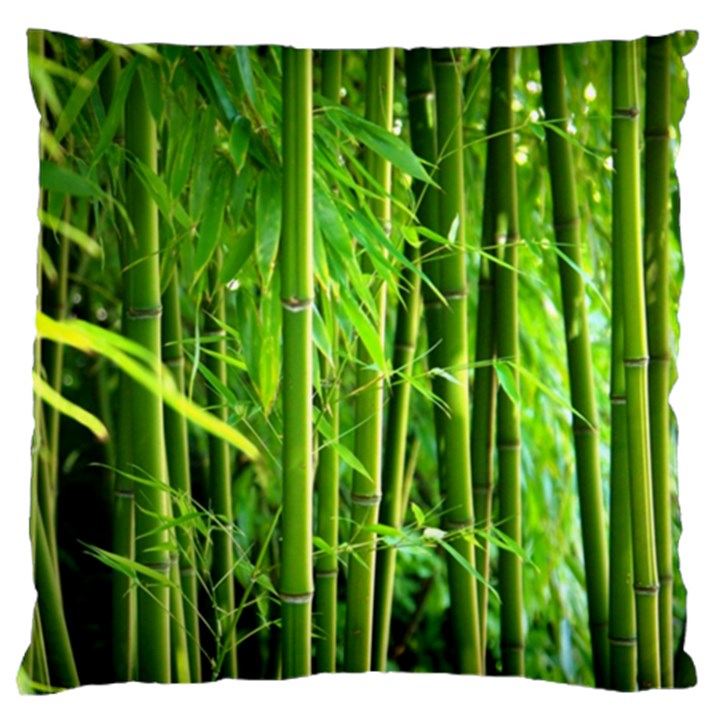 Bamboo Large Cushion Case (Two Sided) 