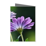 Flower Mini Greeting Card (8 Pack) Left