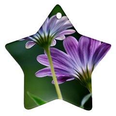 Flower Star Ornament (two Sides) by Siebenhuehner