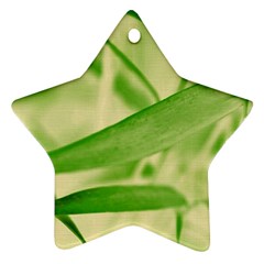 Bamboo Star Ornament (two Sides) by Siebenhuehner