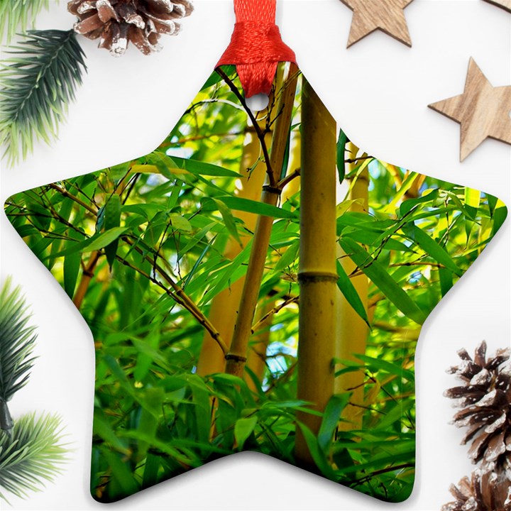 Bamboo Star Ornament (Two Sides)