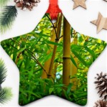 Bamboo Star Ornament (Two Sides) Back