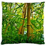 Bamboo Large Cushion Case (Two Sided)  Front