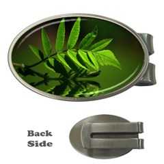 Leaf Money Clip (oval) by Siebenhuehner