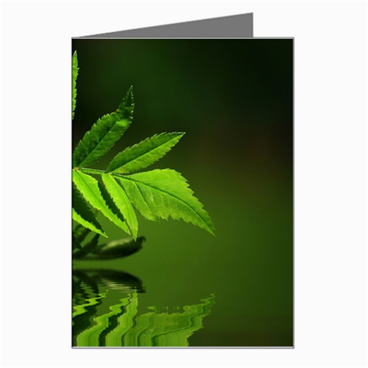 Leaf Greeting Card