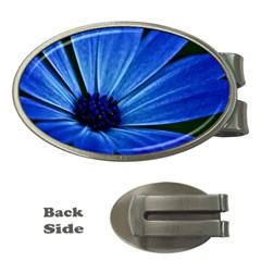 Flower Money Clip (oval) by Siebenhuehner