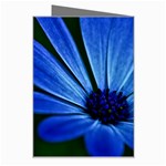 Flower Greeting Card Right