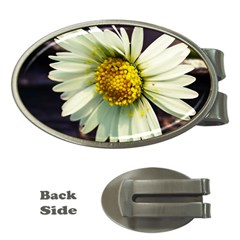 Daisy Money Clip (oval) by Siebenhuehner