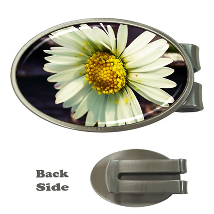 Daisy Money Clip (Oval)