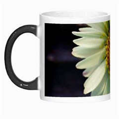 Daisy Morph Mug by Siebenhuehner