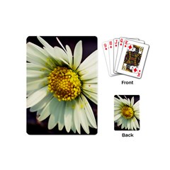 Daisy Playing Cards (mini) by Siebenhuehner