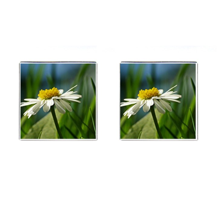 Daisy Cufflinks (Square)