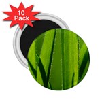 Grass 2.25  Button Magnet (10 pack) Front