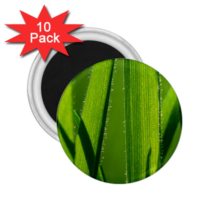 Grass 2.25  Button Magnet (10 pack)