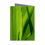 Grass Mini Greeting Card (8 Pack) Left