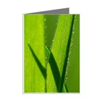 Grass Mini Greeting Card (8 Pack) Right