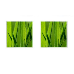 Grass Cufflinks (square) by Siebenhuehner