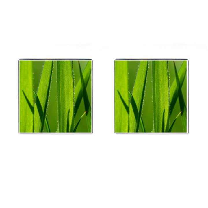 Grass Cufflinks (Square)