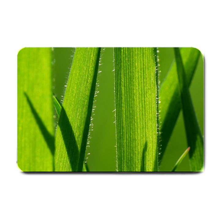 Grass Small Door Mat