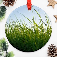 Grass Round Ornament by Siebenhuehner