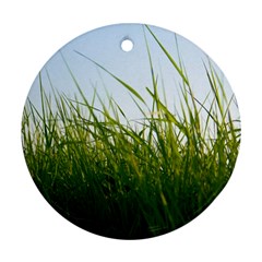 Grass Round Ornament (two Sides) by Siebenhuehner