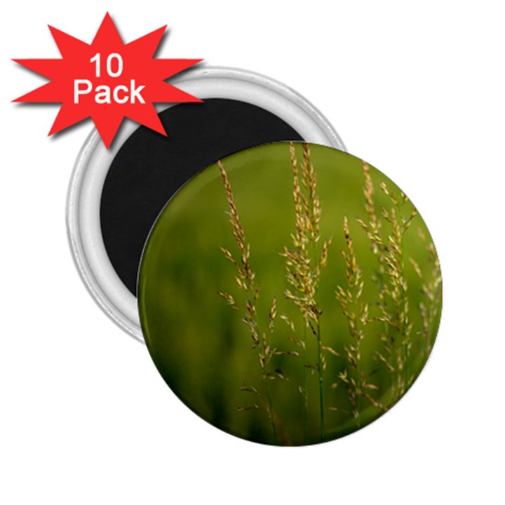 Grass 2.25  Button Magnet (10 pack)