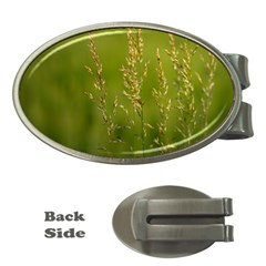 Grass Money Clip (oval) by Siebenhuehner