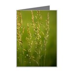 Grass Mini Greeting Card Left