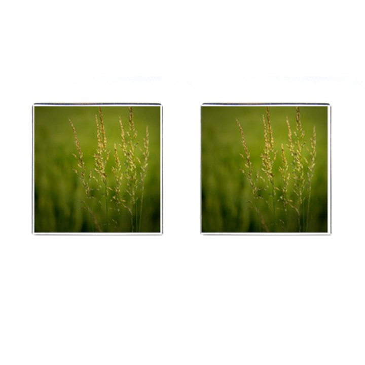 Grass Cufflinks (Square)