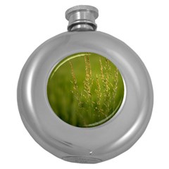 Grass Hip Flask (round) by Siebenhuehner