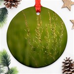 Grass Round Ornament (Two Sides) Back