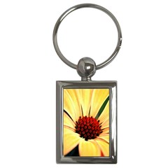 Osterspermum Key Chain (rectangle) by Siebenhuehner