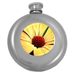 Osterspermum Hip Flask (round) by Siebenhuehner