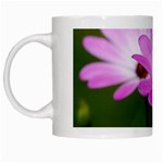 Osterspermum White Coffee Mug Left