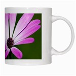 Osterspermum White Coffee Mug Right