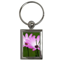 Osterspermum Key Chain (rectangle) by Siebenhuehner