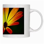 Osterspermum White Coffee Mug Right