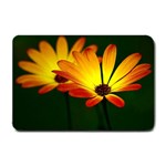 Osterspermum Small Door Mat 24 x16  Door Mat