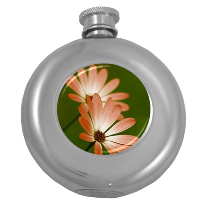 Osterspermum Hip Flask (Round)