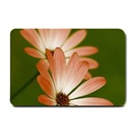 Osterspermum Small Door Mat 24 x16  Door Mat