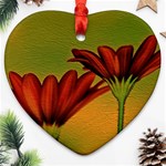 Osterspermum Heart Ornament Front