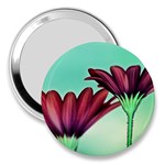 Osterspermum 3  Handbag Mirror Front