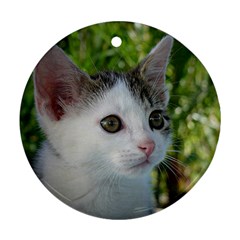 Young Cat Round Ornament by Siebenhuehner