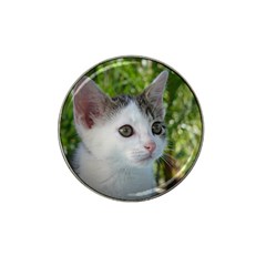 Young Cat Golf Ball Marker (for Hat Clip) by Siebenhuehner