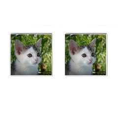 Young Cat Cufflinks (square) by Siebenhuehner